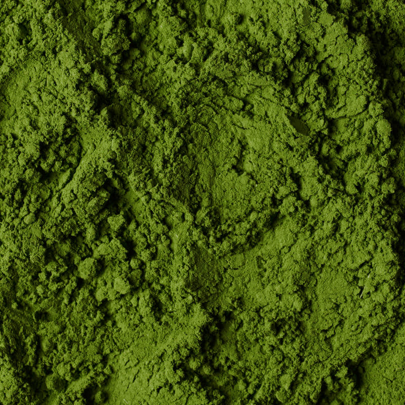 Freshly stone-milled organic matcha