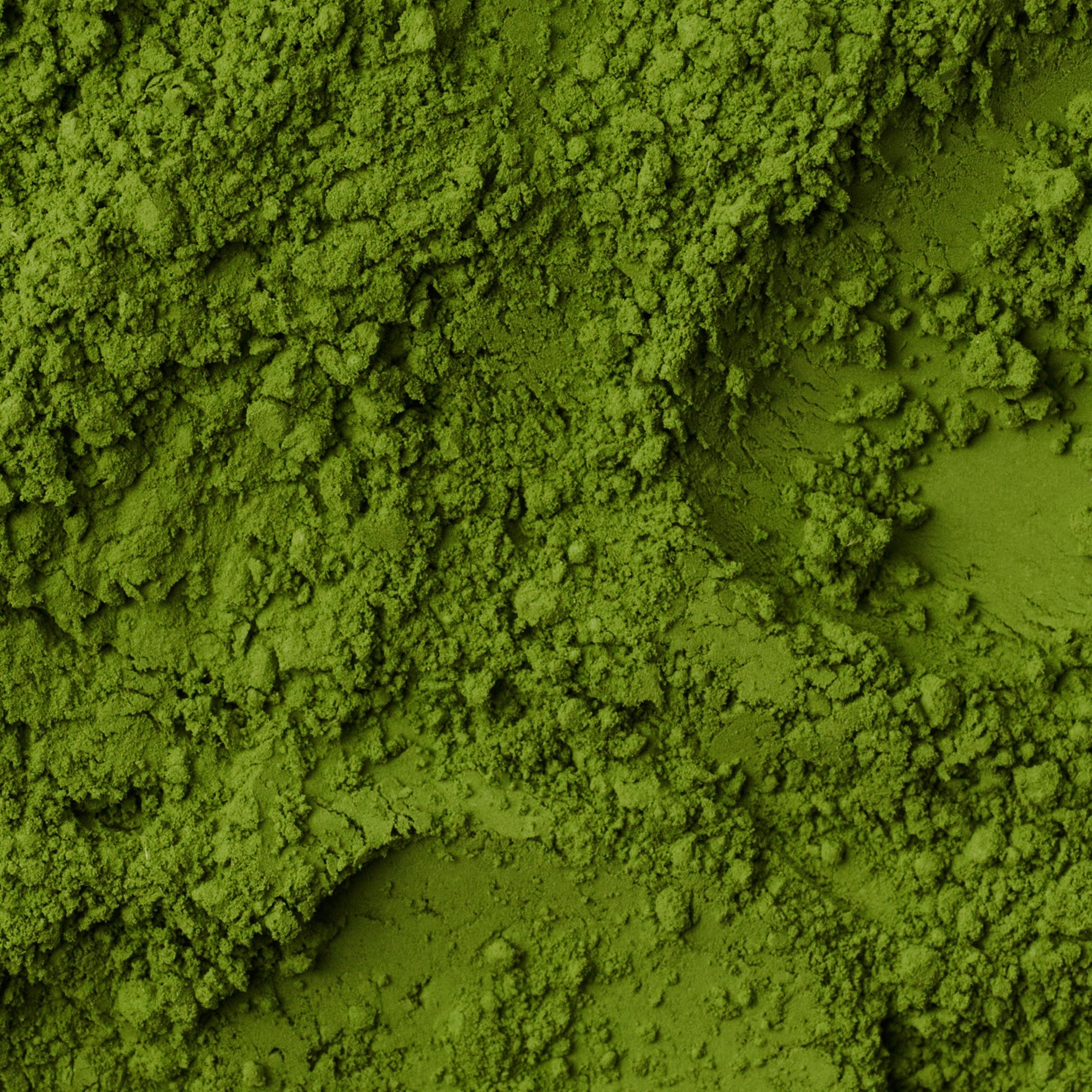 About Matcha