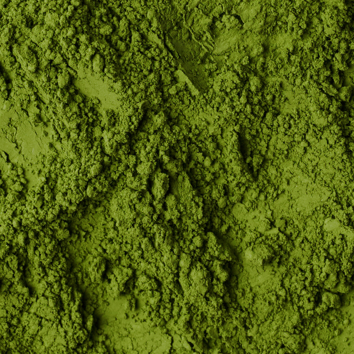 NAKAI 十六 JU-ROKU (16) SPECIALTY GRADE ORGANIC MATCHA - matcha powder close-up