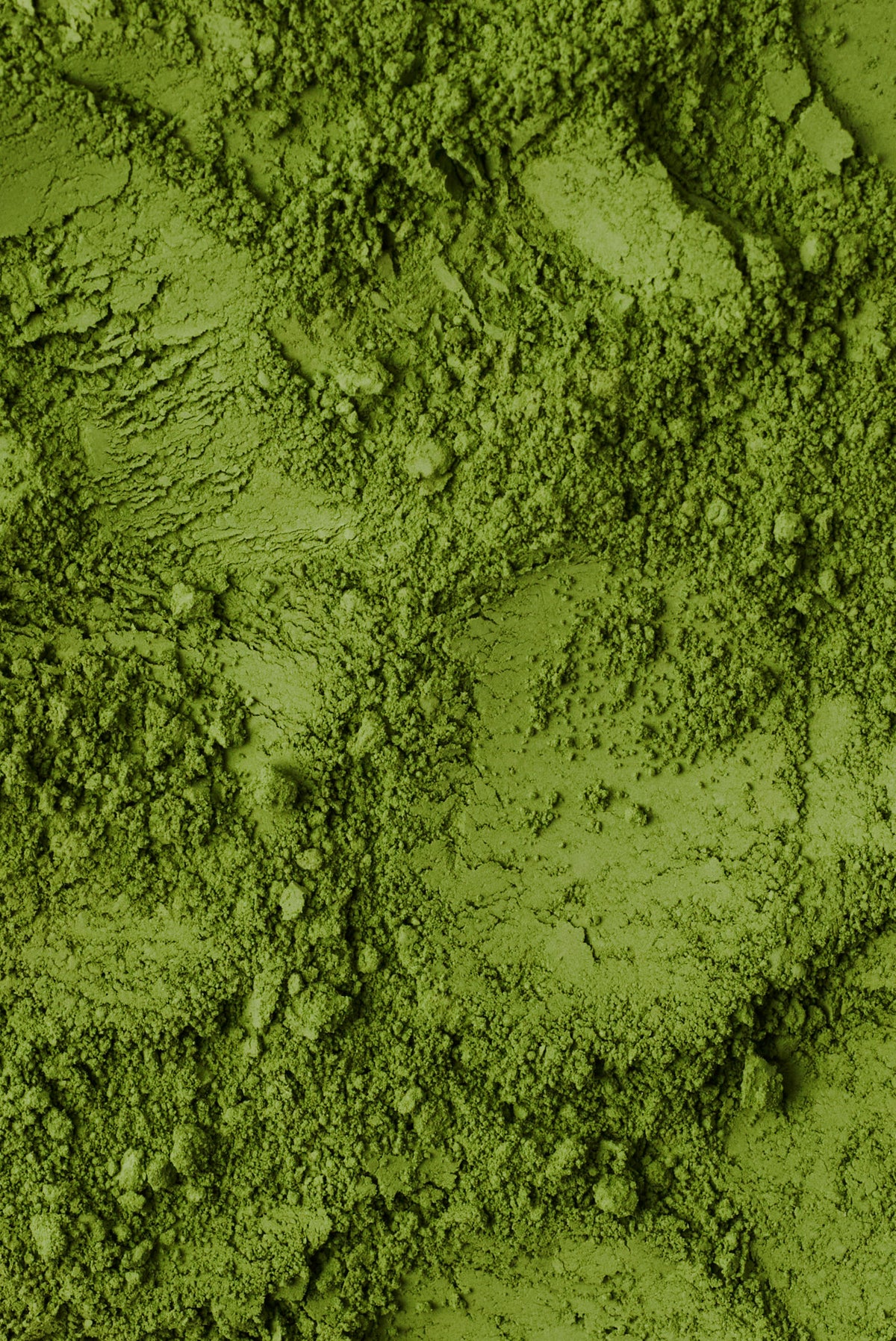 NAKAI 十八 JU-HACHI (18) SPECIALTY GRADE ORGANIC MATCHA - product photo