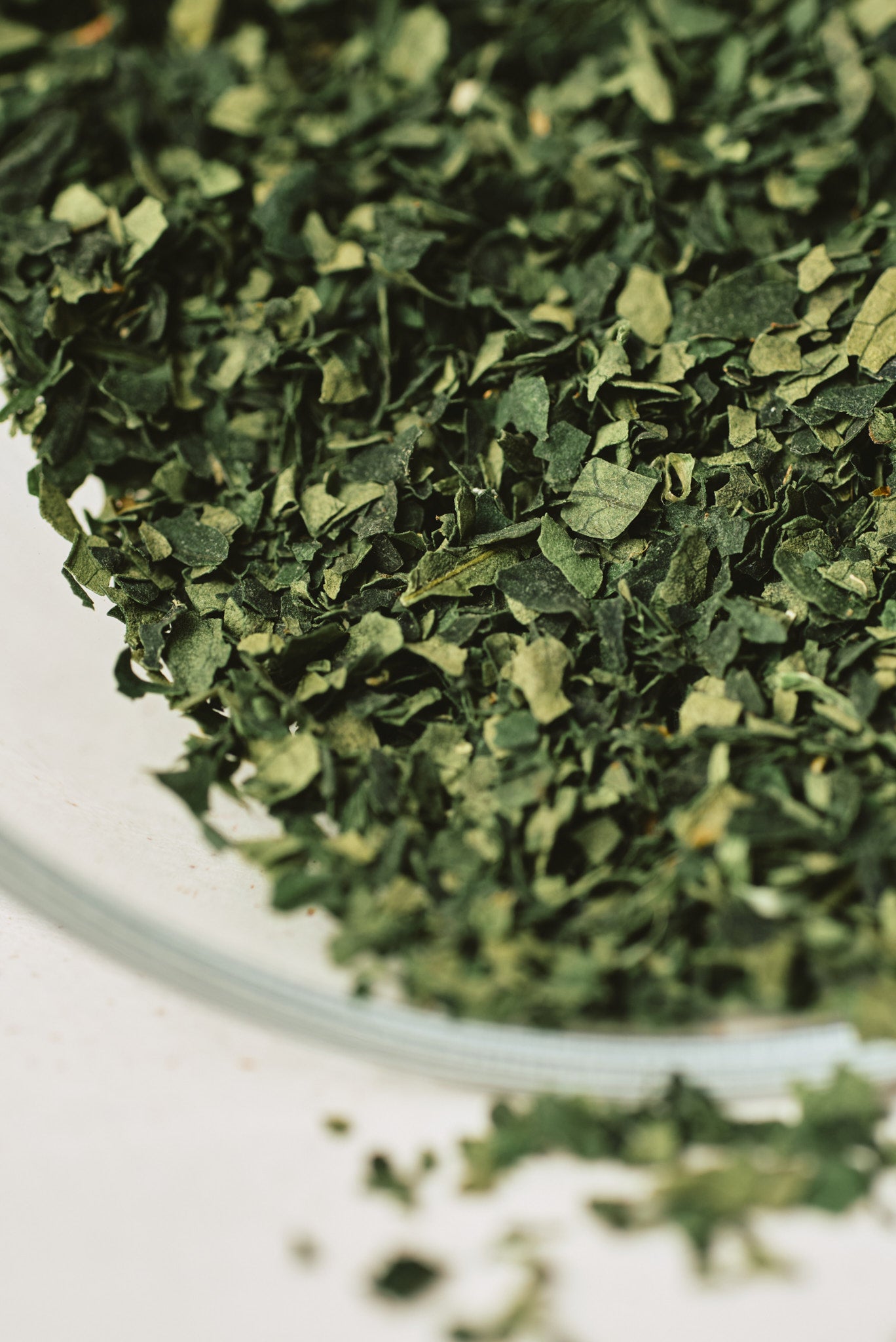 All Matcha Collection — NAKAI