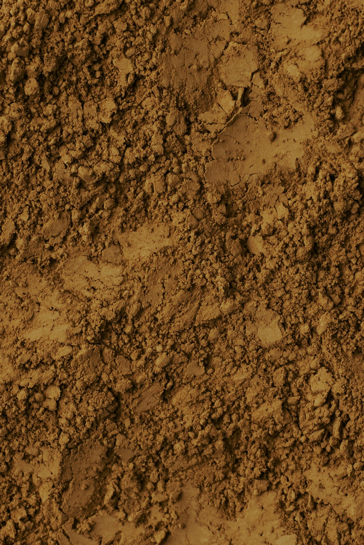 NO.311 榛摺 (HARIZURI) Organic Ceremonial Reserved Hojicha Powder