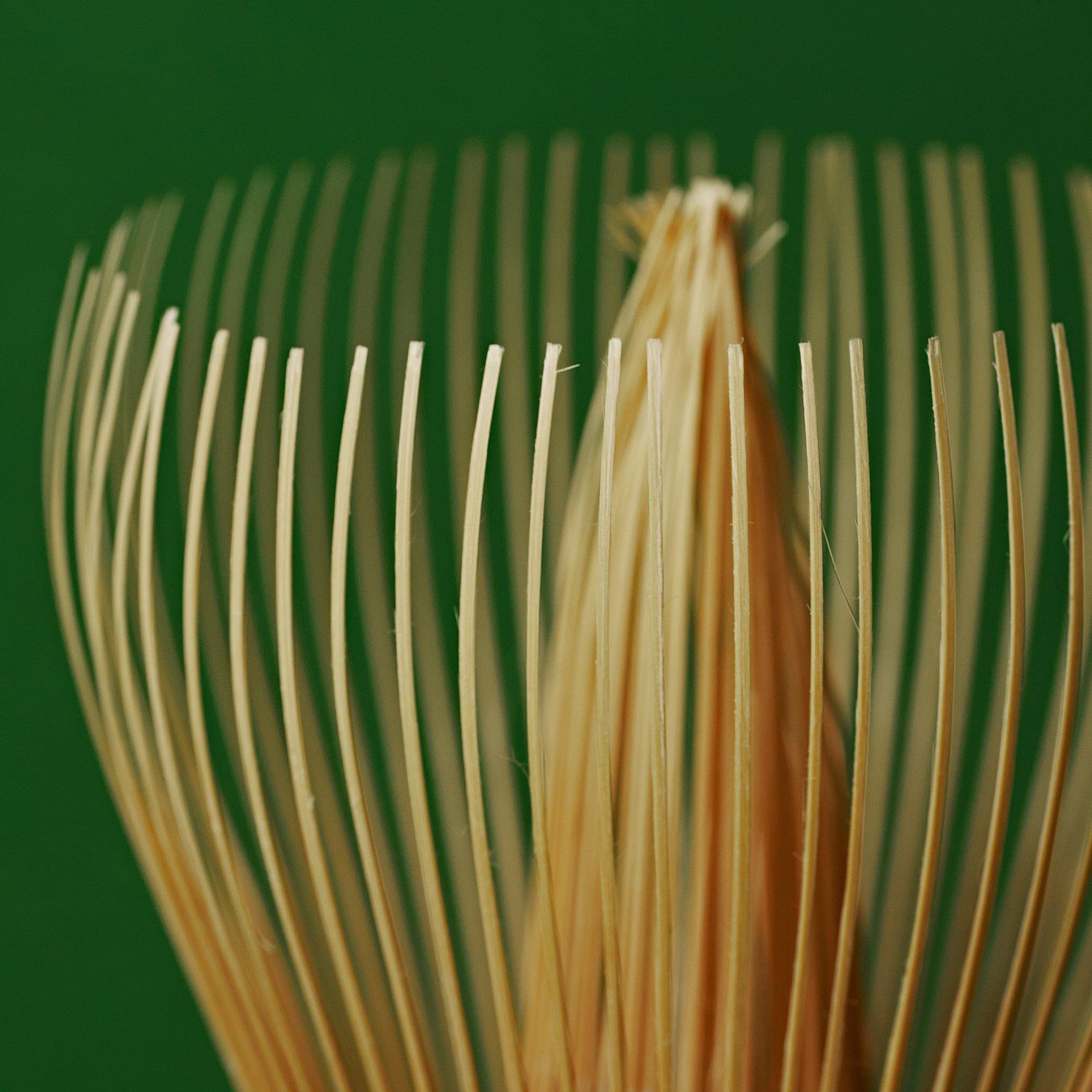 Takayama Chasen macro view of bamboo tines, 100-prong matcha whisk artisan detail from Nara Japan