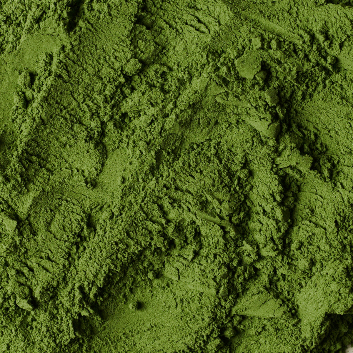 NO. 125 白露 (HAKURO) Specialty Matcha – matcha powder