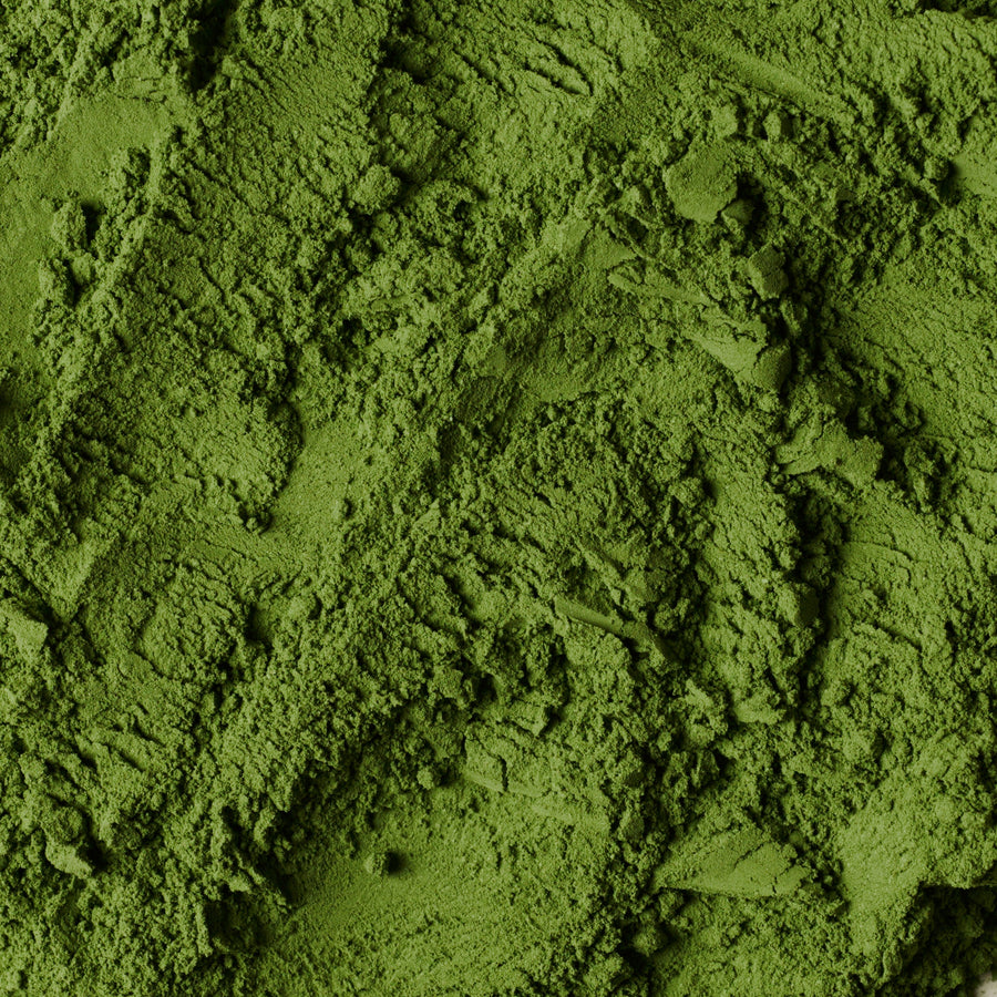NO. 125 白露 (HAKURO) Specialty Matcha – matcha powder