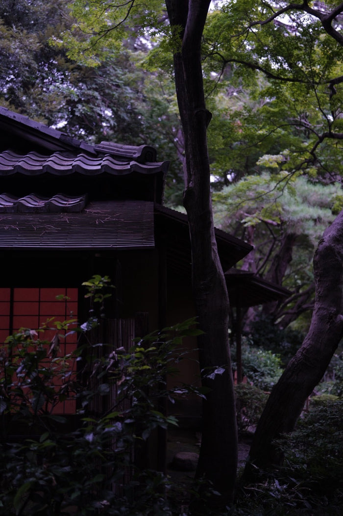 Tea ceremony moment 01