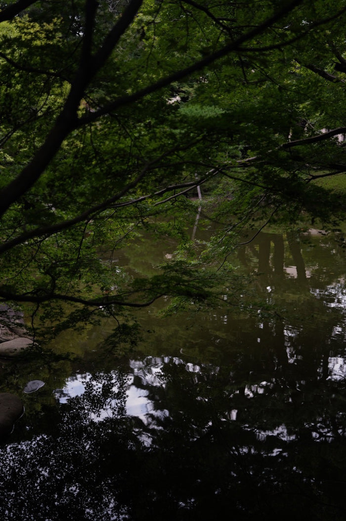 Tea ceremony moment 02