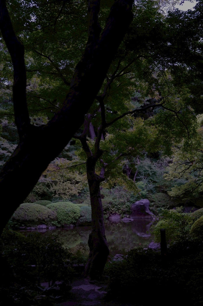 Tea ceremony moment 03