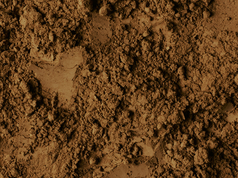 NO. 311 榛摺 (HARIZURI) Organic Specialty Hojicha Powder – hojicha powder