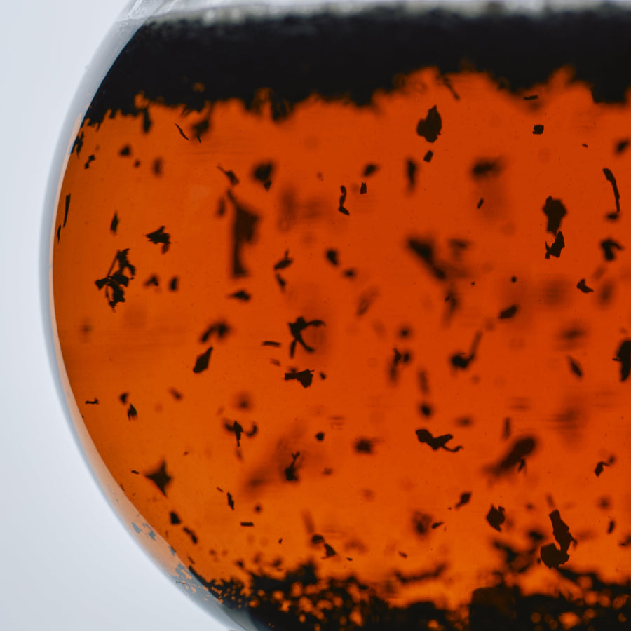 NO. 365 黄櫨 (KORO) Specialty Hojicha Teabags – hojicha brewing in a glass pot